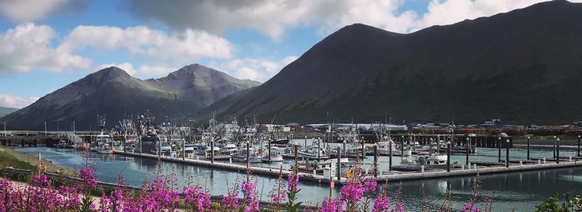 Native Village of King Cove Delta Point LLC King Cove, Alaska
