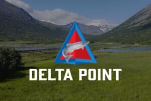 Delta Point logo