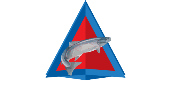 Delta Point logo